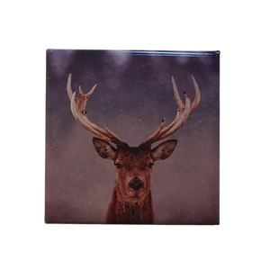 Highland Stag Face Magnet Square SCP015