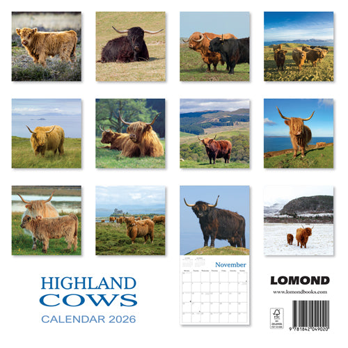 Highland Cow Calendar 2026
