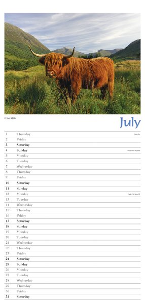 2027 Calendar Highland Cows Appointments