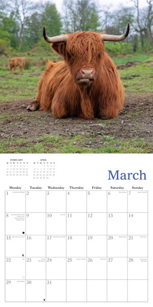 2027 Highland Cow Calendar