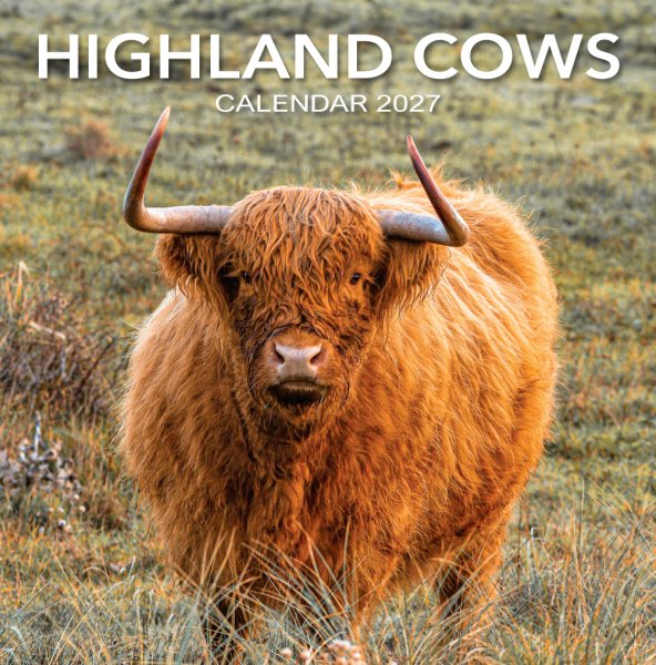 2027 Highland Cow Calendar