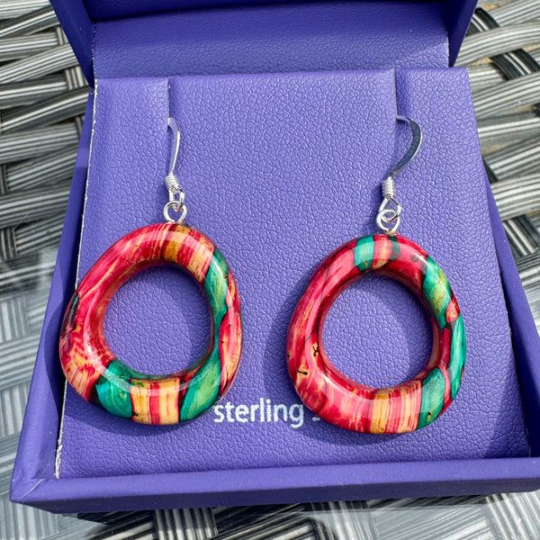 Heathergems Rounded Triangle Drop Earrings SE20
