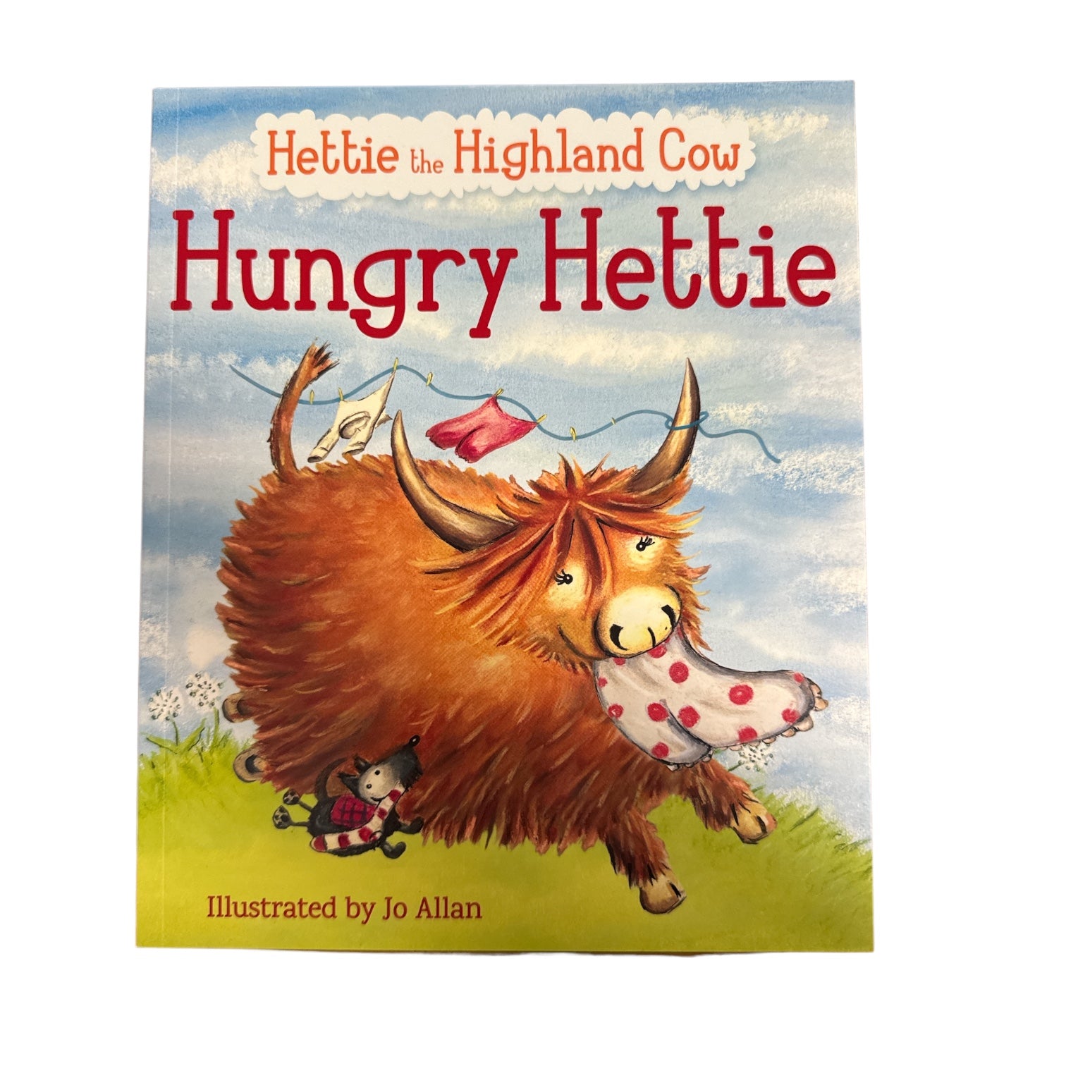 Hettie the Highland Cow Hungry