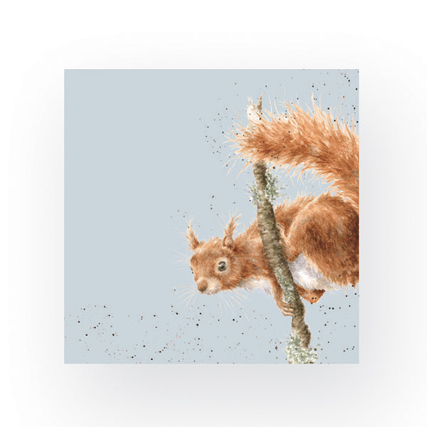 Wrendale Squirrel Napkins