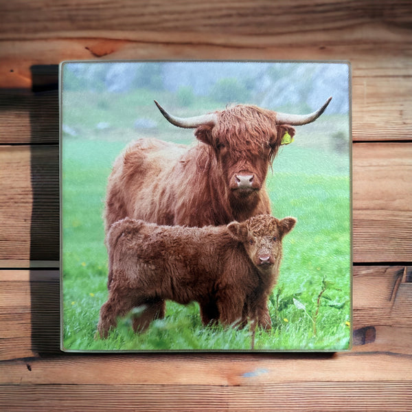 Scottish Chopping Board - Trivet - 12 designs