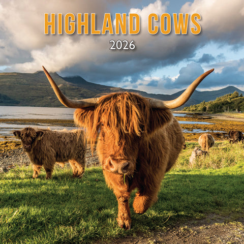 Scottish Calendar Highland Cow 2026