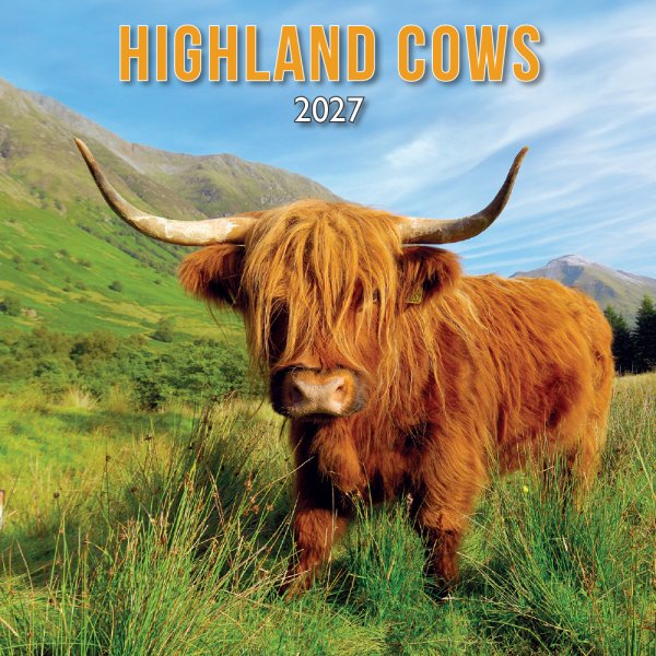 Scottish Highland Cow Calendar 2027