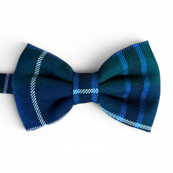 Tartan Bow Tie Douglas Modern