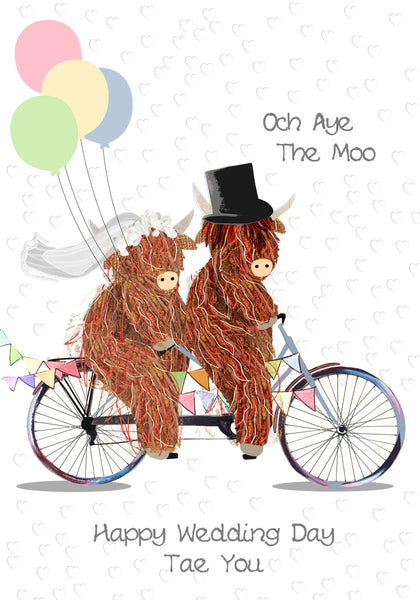 Wedding day och Aye the Noo Highland Cow
