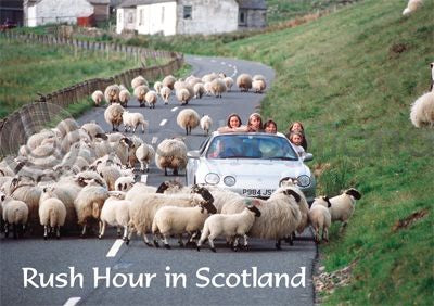 Rush Hour in Scotland Magnet