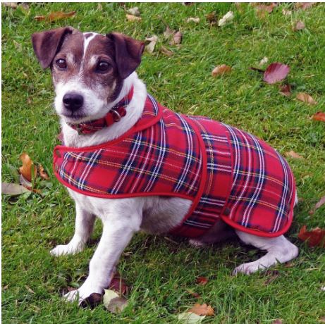 Tartan Dog Coat in Royal Stewart - Large