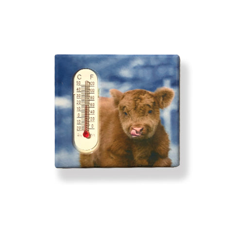 Magnet with Thermometer - Cheeky Calf