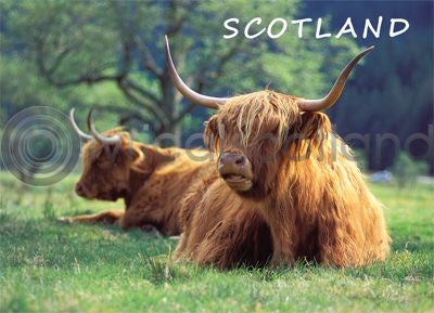 Highlanders at Glen Nevis Magnet